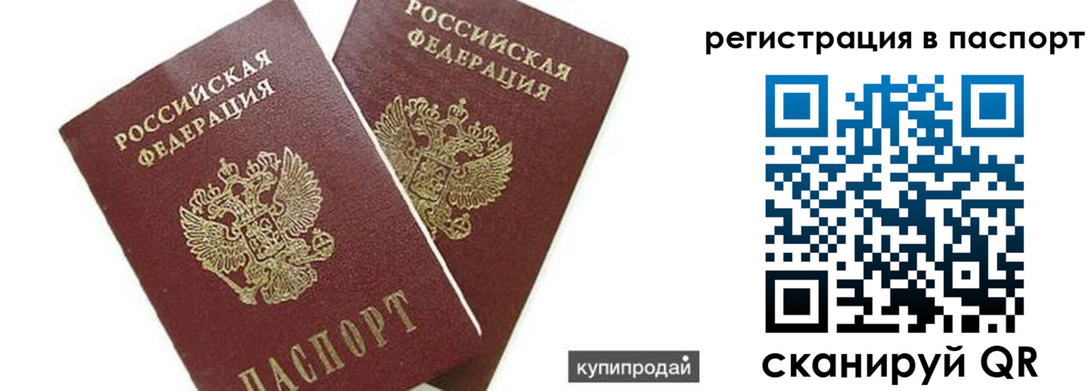 прописка регистрация в Александрове